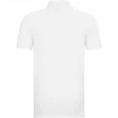 Tommy Hilfiger Polo Shirt