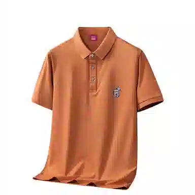 Disney logoPOLO