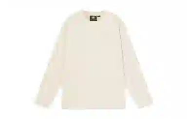 Palladium T