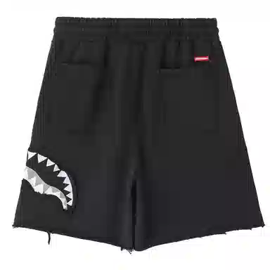 Sprayground Shorts