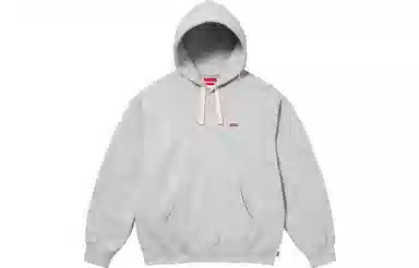 Supreme Small Box Drawcord Hooded Sweatshirt