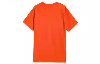 Champion Basic Logo Tee Orange