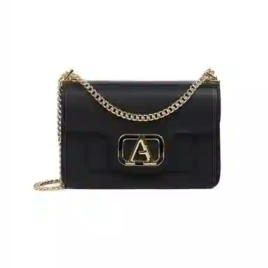 Aquascutum Chain Bag