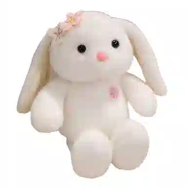 25cm
