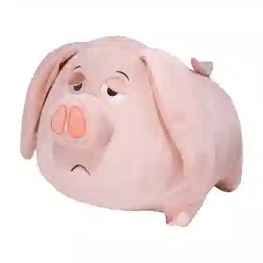 Brangdy 25cm40cm60cm