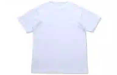 UNDEFEATED x Champion T