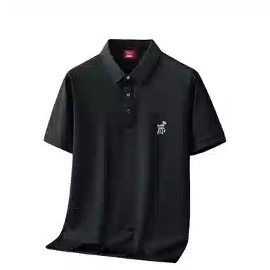 Disney logoPOLO