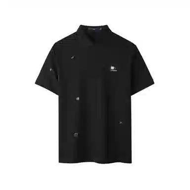 HLA POLO
