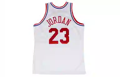 Mitchell Ness NBA AU 23