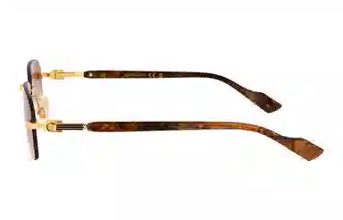 Gucci Rectangular Sunglasses Brown