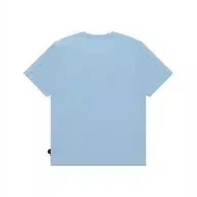 Aape T