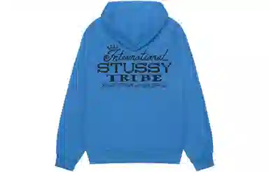 Stussy FW23 Ist Hoodie Pigment Dyed