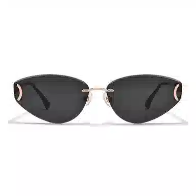 Sagawa Sunglasses