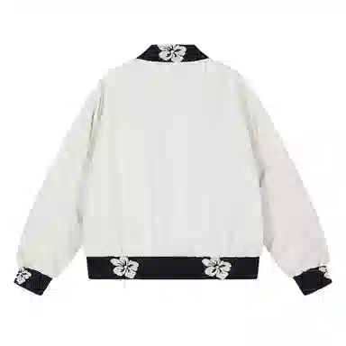V37 bomber