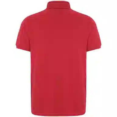 Tommy Hilfiger Polo Shirt
