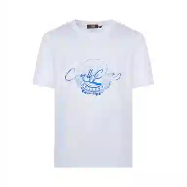 Cavalli Class T
