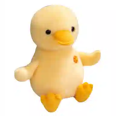 lionf 25cm