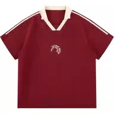 HDPV Polo Shirt