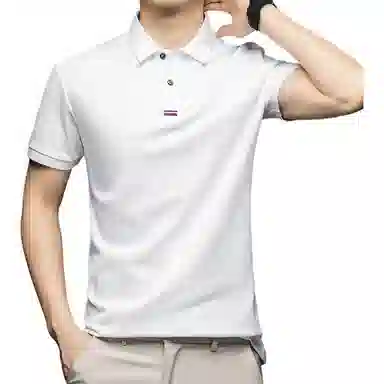 Pierre Cardin Polo Shirt