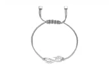 Swarovski Power Collection