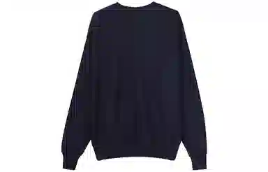 Champion Reverse Weave C