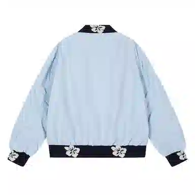 V37 bomber