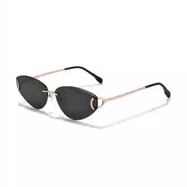 Sagawa Sunglasses