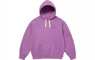 Supreme Small Box Drawcord Hooded Sweatshirt