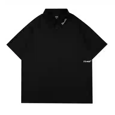 STANAIR LogoPolo