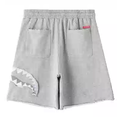 Sprayground Shorts