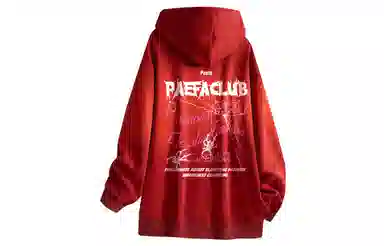 PAEFA Logo