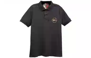 Tommy Hilfiger LogoPolo