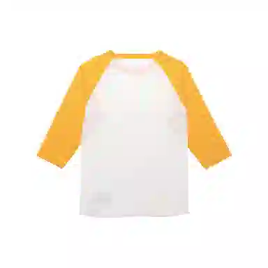 Champion T 2