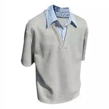 230PAINT STAIN PoloT