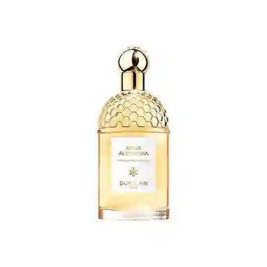 EDT 75ml125ml