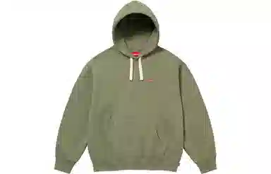 Supreme Small Box Drawcord Hooded Sweatshirt
