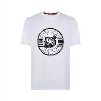 Cavalli Class T