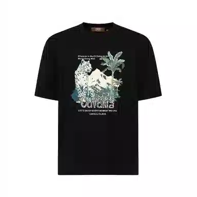Cavalli Class T