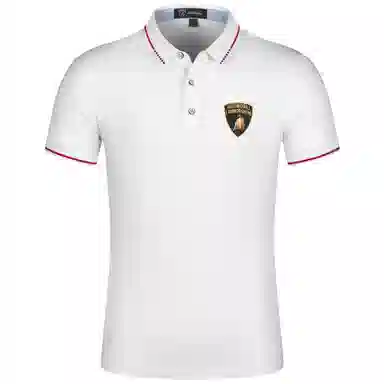 Automobili Lamborghini LogoPolo