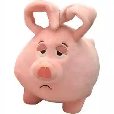 25cm40cm60cm80cm