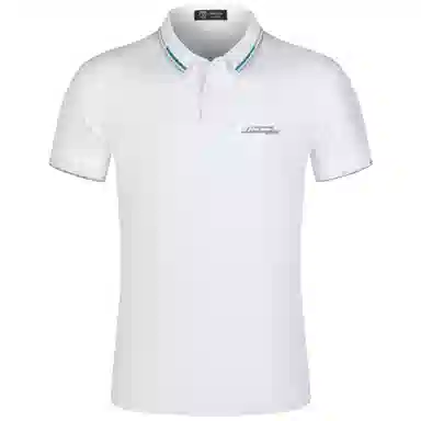 Automobili Lamborghini logoPolo