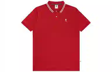 Aape Polo
