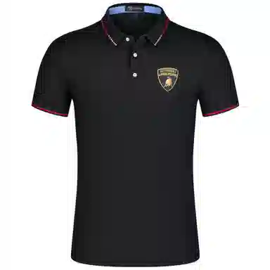 Automobili Lamborghini LogoPolo
