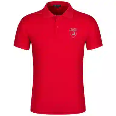 Automobili Lamborghini Polo