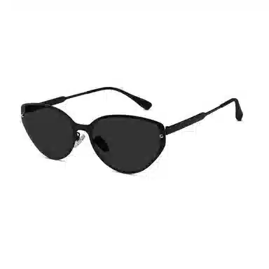 Leipailong Cat Eye Sunglasses