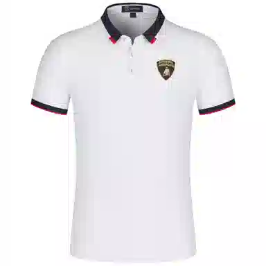 Automobili Lamborghini logoPolo