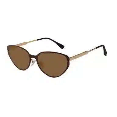Leipailong Cat Eye Sunglasses