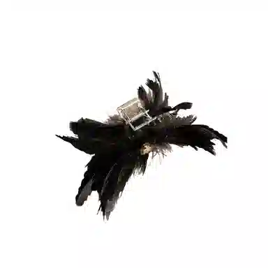 贯古今 钻羽毛大号小众设计感后脑勺盘发 合金 发夹 女款