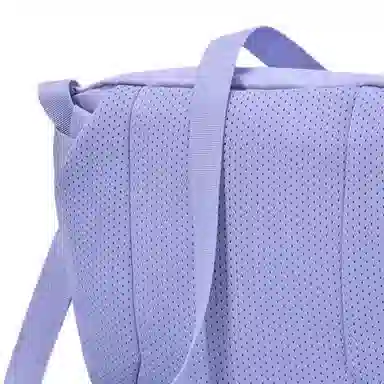 Arcteryx Mantis 2 2.5L