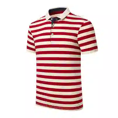 PIERRE CARDIN Polo
